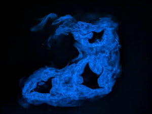 Swim Like Nobody's Watching