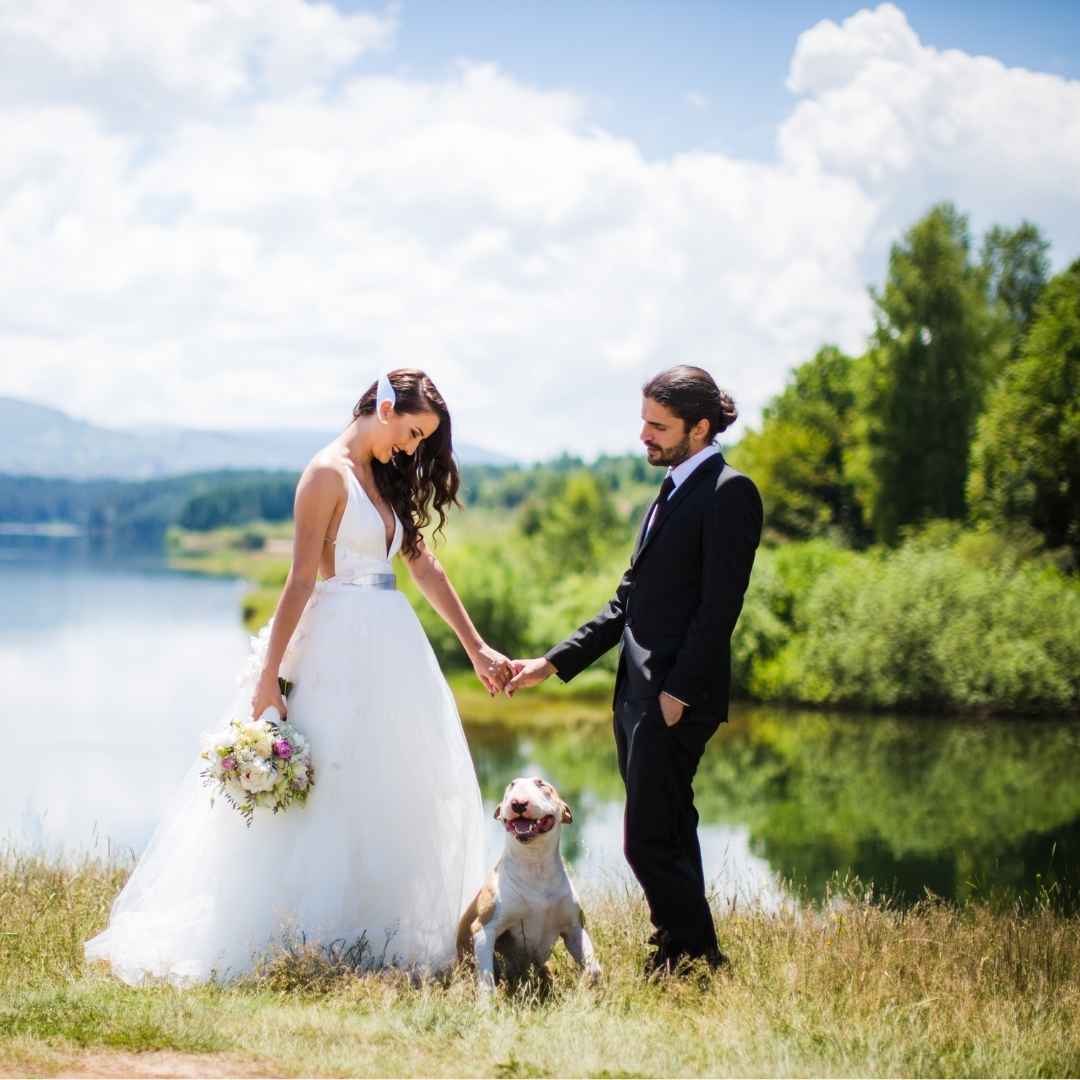 Image of Live wedding painting by Michelle Passey Studio featuring a heartfelt portrait of a beloved pet included in the artwork.